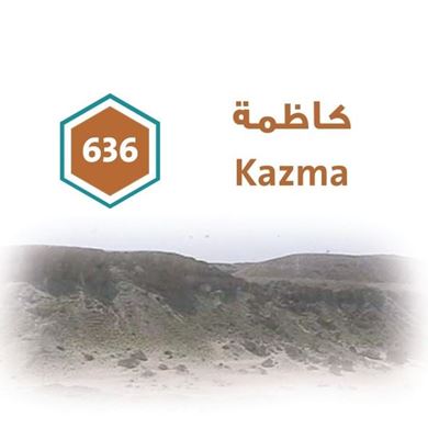 صورة لقسم كاظمة